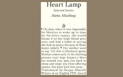 Обложка книги «Сердце-лампа» (Heart Lamp) Бану Маштук  / https://thebookerprizes.com/