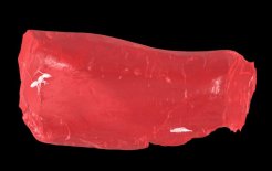 Муравья визуализировали с помощью трехмерной цифровой реконструкции / Источник: http://nature.com