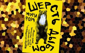 Коллаж: ГодЛитературы.РФ. Обложка и фрагмент книги предоставлены издательством