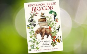 Коллаж: ГодЛитературы.РФ. Обложка и фрагмент книги предоставлены издательством