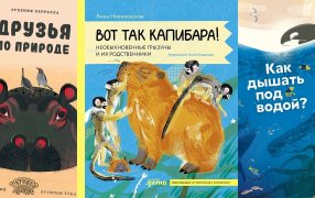 Обложки предоставлены издательствами
