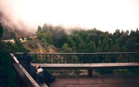 Обзор литературной периодики (октябрь-2025) / pxhere.com