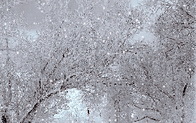 Борис Пастернак «Снег идет»
