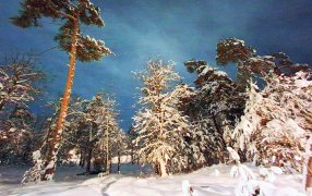 Зима, снег, метель, вьюга, пурга — о происхождении 'снежных' слов / Фото: Ирина Зайцева