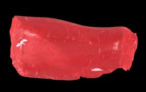 Муравья визуализировали с помощью трехмерной цифровой реконструкции / Источник: http://nature.com