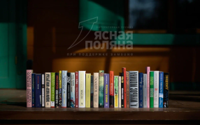 Источник: yppremia.ru