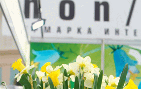 Опубликована программа ярмарки non/fictio№весна 2026
 / moscowbookfair.ru