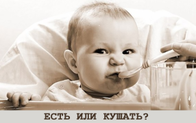 Какие еще слова, кроме 'кушать', в русском языке часто используются неправильно?
 / социальные сети
