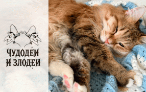 Чудодеи и злодеи.  Соавтор. Рассказы, присланные на конкурс рассказов в духе русской гофманиады «Чудодеи и злодеи»