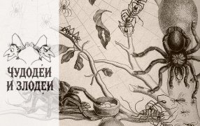 Публикуем работы, присланные на конкурс рассказов в духе русской гофманиады «Чудодеи и злодеи» / Библиотека Уэллкома, Лондон/Wikipedia