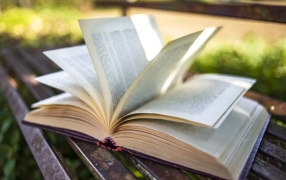 Во время летнего отдыха россияне чаще всего выбирают книги о любви и фэнтези / rg.ru