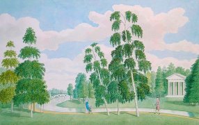 «У брега насажу лесок уединенный, И липу свежую, и тополь серебренный...» Знаменитые поэты и писатели — талантливые ландшафтные дизайнеры и садоводы / Джеймс Мидер 'Английский парк в Петергофе. Вид с Березовым домиком'/ gallerix.ru