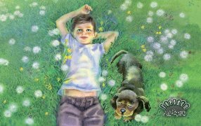 «Наше лето» Марина Тараненко. Иллюстрации Надежды Барай  / Иизд-во: Городец, Ласка-Пресс