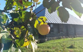Озёрки, родовое имение И. А. Бунина / Фото: Татьяна Шипилова
