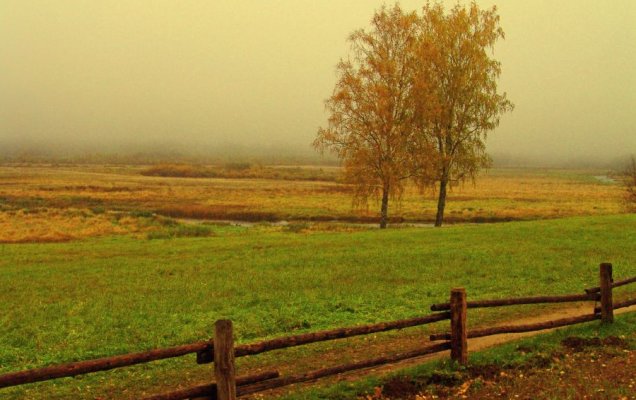 Почему поэты СВО ищут ключ нашей силы в 'дезертире' Сергее Есенине/ Окрестности села Константиново, родины Есенина / Юрий Кавер/ РИА Новости