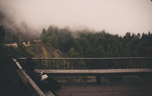 Фото: pxhere.com