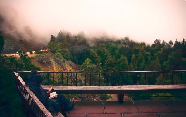 Обзор литературной периодики (октябрь-2025)/ Фото: pxhere.com