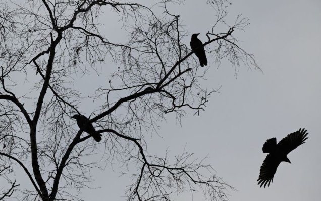 Цитаты и стихи о ноябре русских поэтов и писателей / Александр Кряжев/РИА Новости