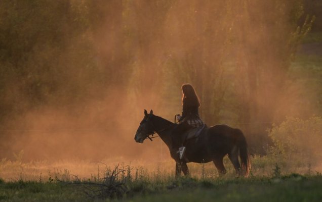 Конная прогулка вдоль Белой скалы (Ак-Кая) в Белогорском районе Крыма / Константин Михальчевский/РИА Новости