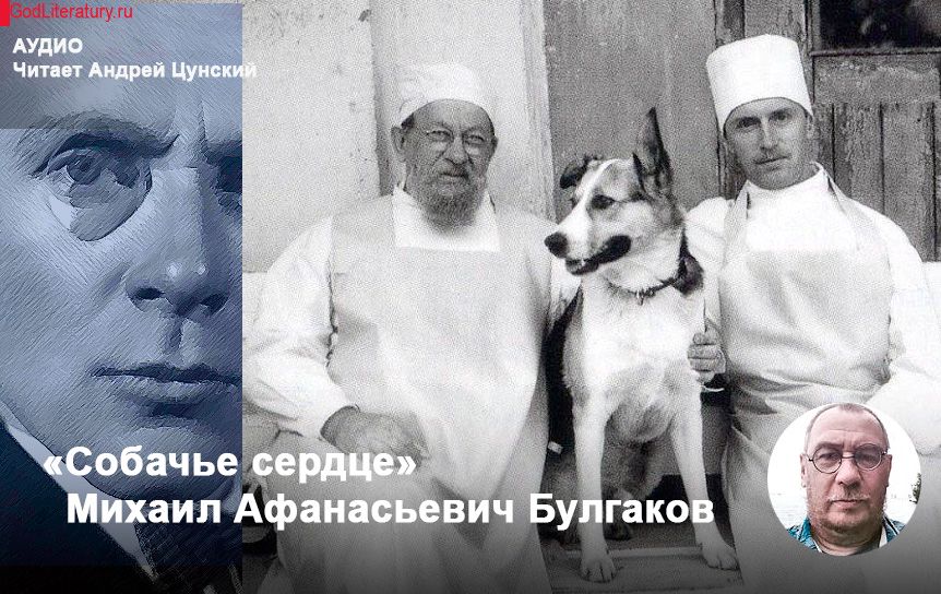  'Собачье сердце ' Михаил Булгаков. Аудио / godliteratury.ru