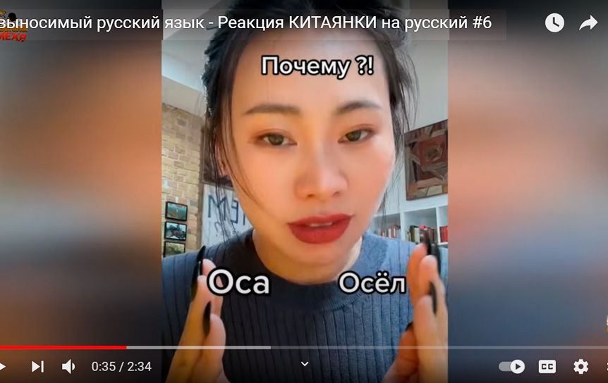 Тиктокер из Китая рассказала в своем блоге о сложностях русского языка / Youtube 