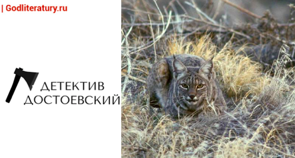 Коллаж: ГодЛитературы.РФ