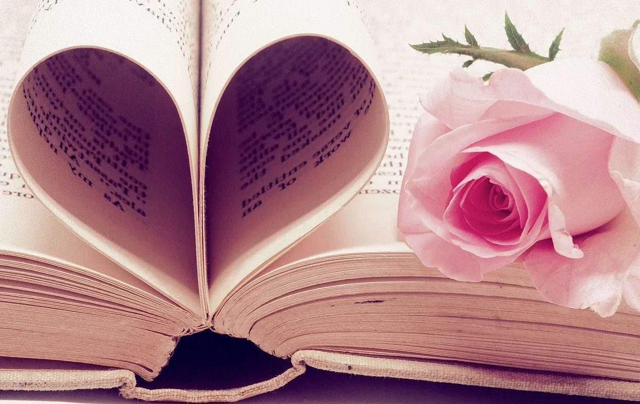 14 февраля во всем мире отмечают день влюбленных в книгу / Pixabay.com