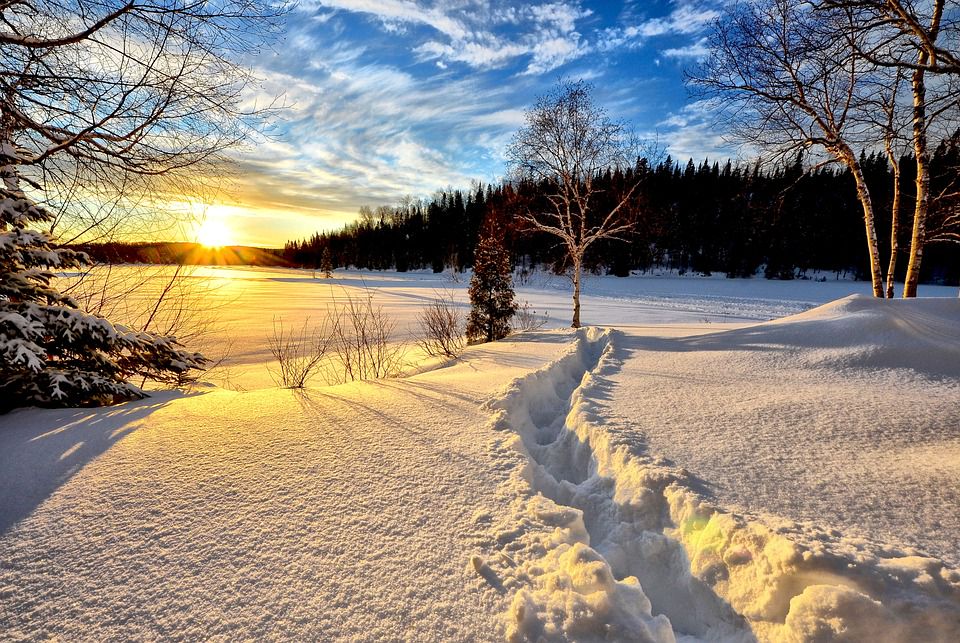 Десять цитат о зиме, какой ее видят русские писатели / Pixabay.com