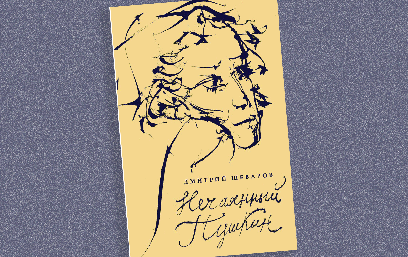 Отрывок из книги Д. Шеварова 'Нечаянный Пушкин' / Издательство 'Детское время'