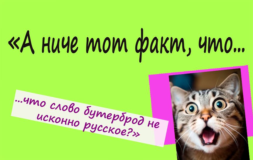 На вопросы 'РГ' ответил научный сотрудник Института русского языка имени В.В. Виноградова РАН, председатель Филологического совета Тотального диктанта и член жюри Международного Пушкинского конкурса Владимир Пахомов. / godliteratury.ru