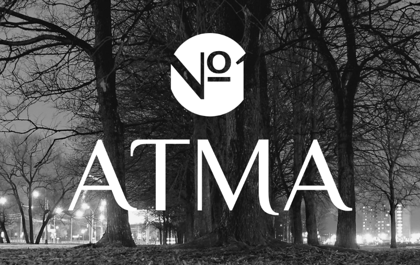 Предоставлено пресс-службой проекта «АТМА»