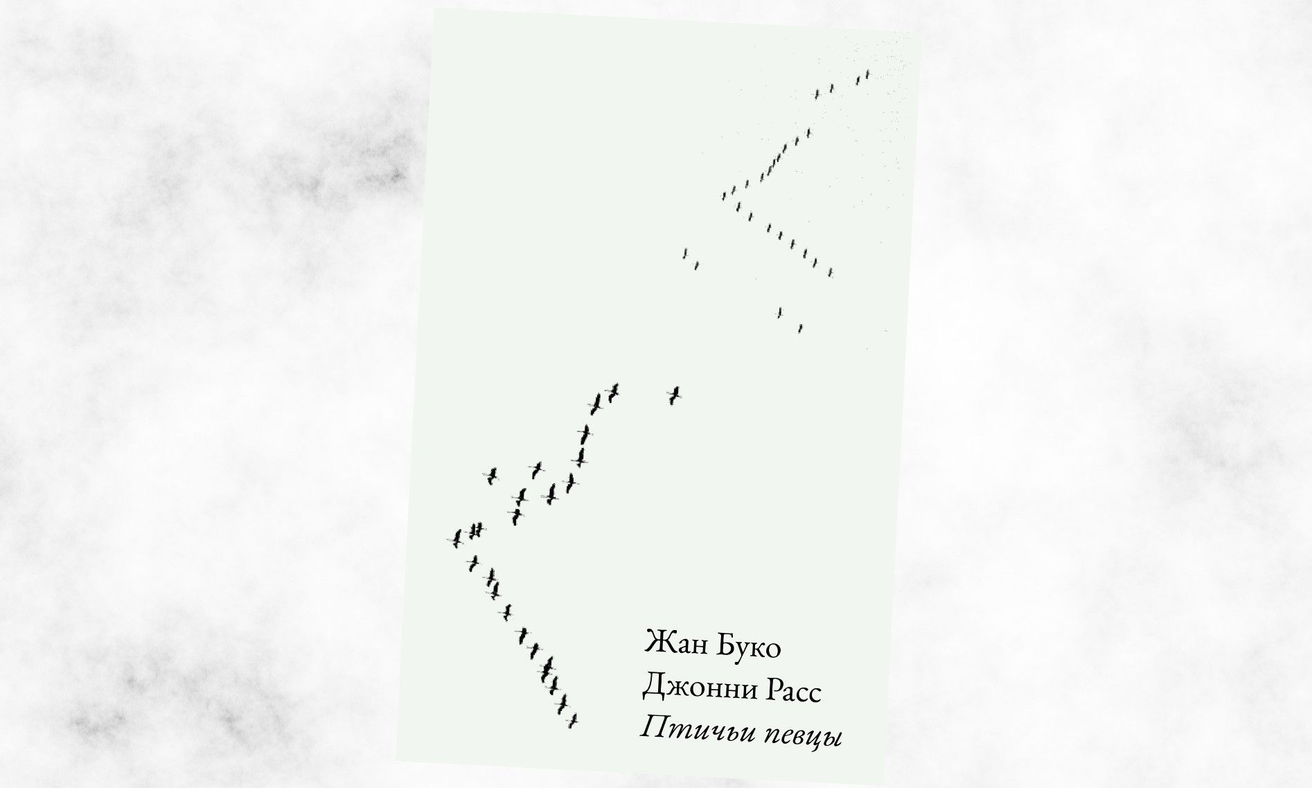Коллаж: ГодЛитературы.РФ. Обложка и фрагмент книги предоставлены издательством