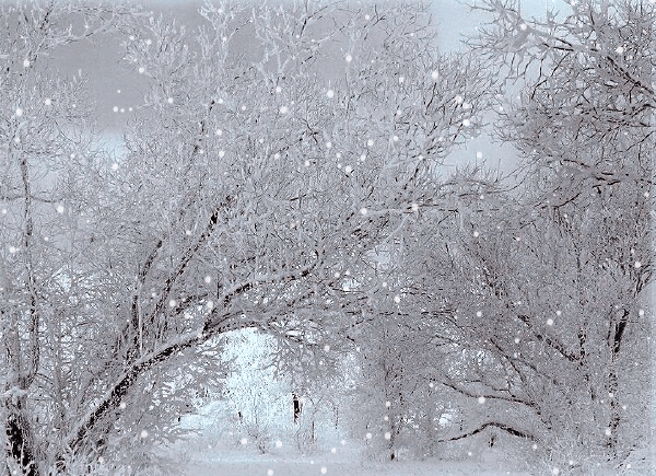 Борис Пастернак «Снег идет»
