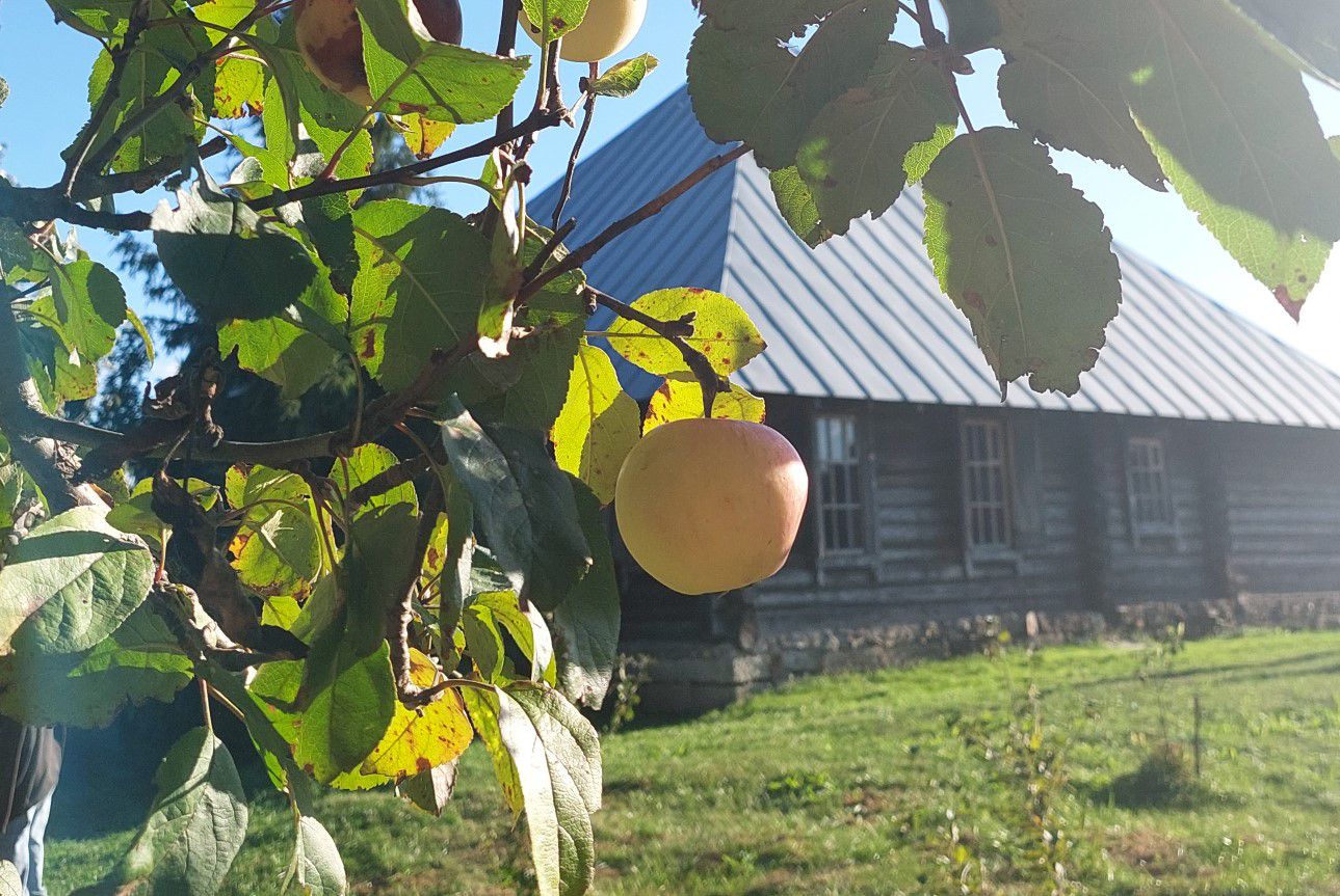 Озёрки, родовое имение И. А. Бунина / Фото: Татьяна Шипилова Озёрки, родовое имение И. А. Бунина / Фото: Татьяна Шипилова